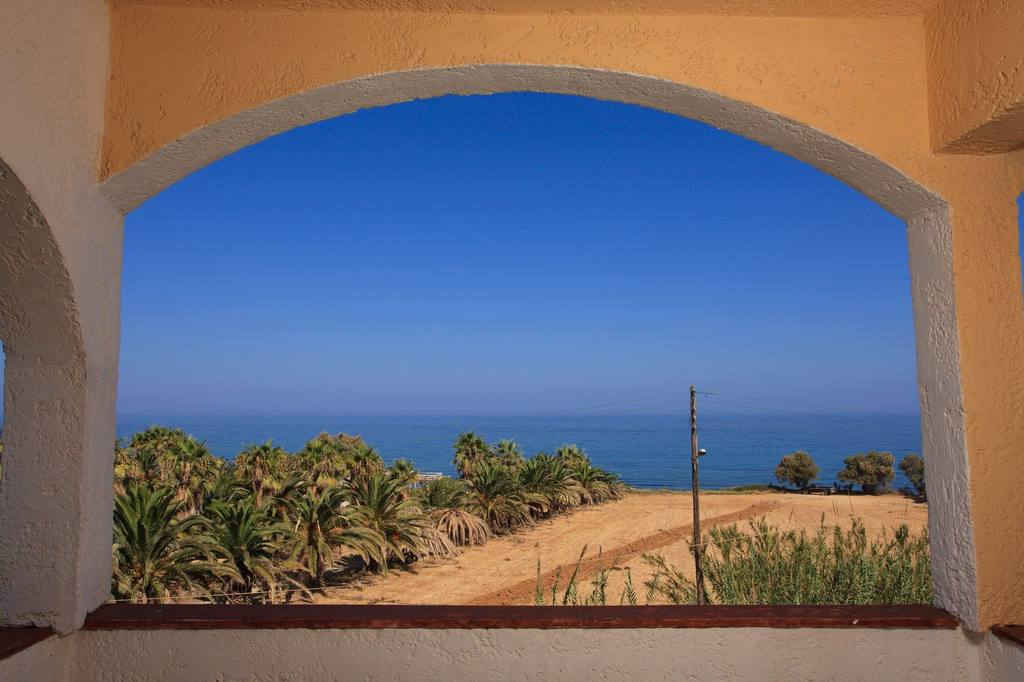 Μεσογειακός κήπος με φοίνικες και lounge καθίσματα